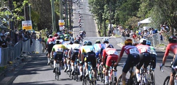 Bet365